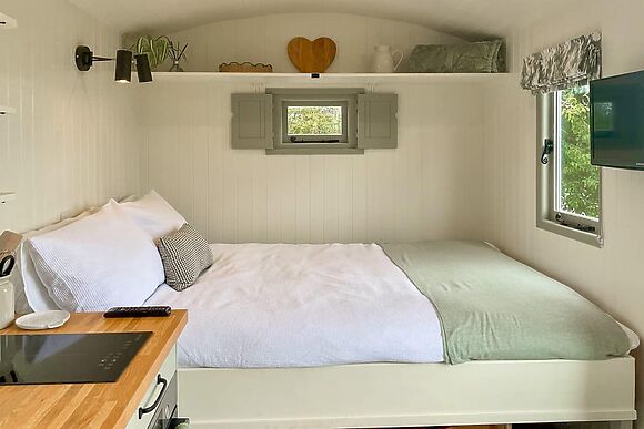 The Coop in Southtown