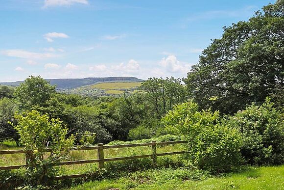 Thatched Cottage at Llandeilo Retreats