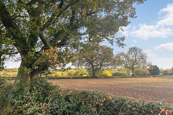 Kings Moor Retreat 2