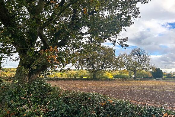 Kings Moor Retreat 3