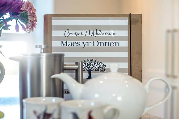 Maes yr Onnen in Abercych