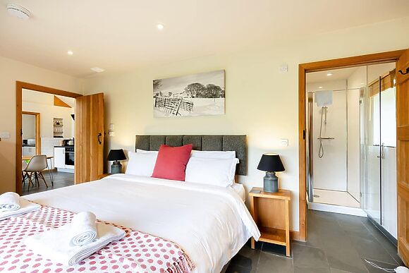 Wern Ddu Cottage in Penybontfawr