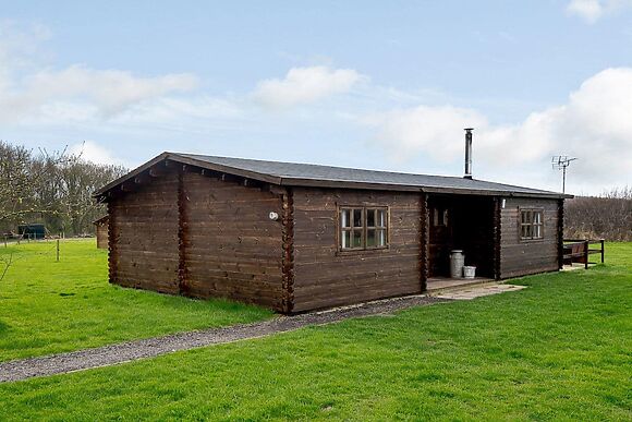 Halfmoon Wood at Readyfields Farm