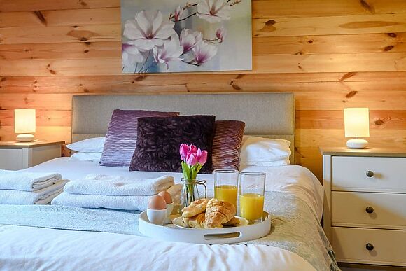 Halfmoon Wood at Readyfields Farm