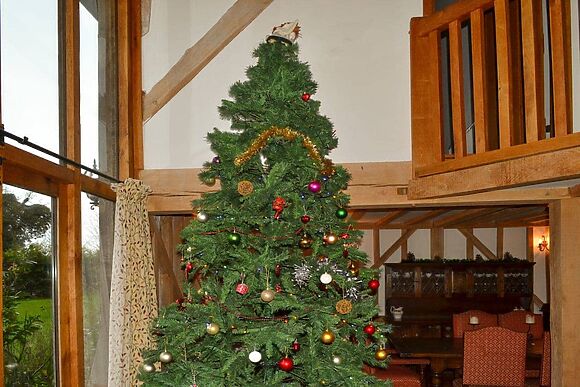 Romden Barn in Smarden