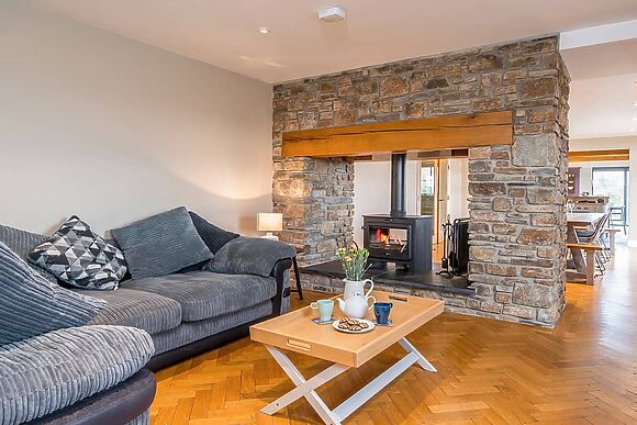 Trecift in Llangoedmor