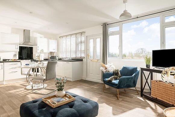 Dreamwood at Downwood