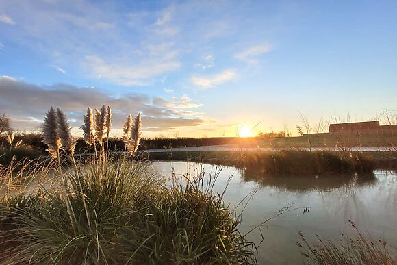 The Elms in Dunholme