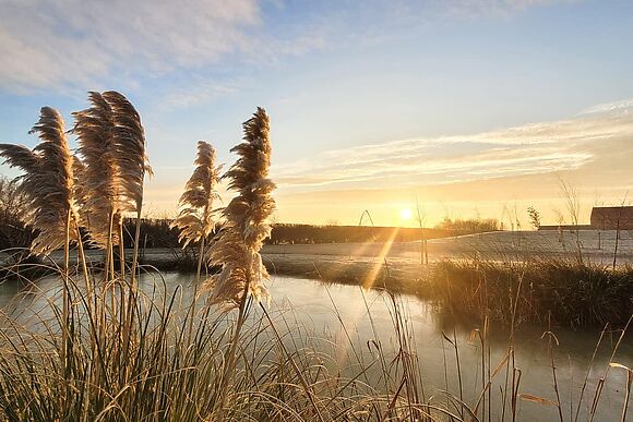 The Hazels in Dunholme