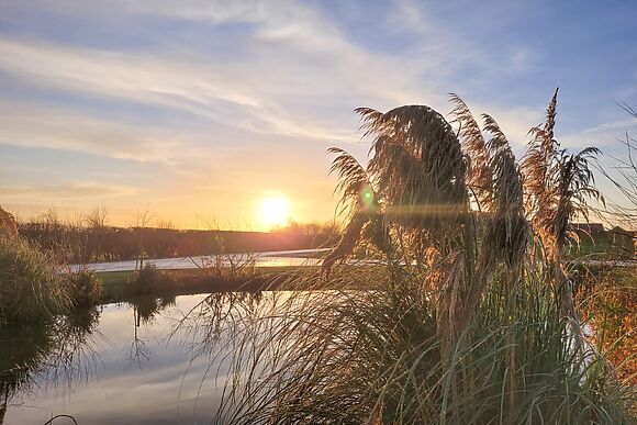 The Sycamores in Dunholme