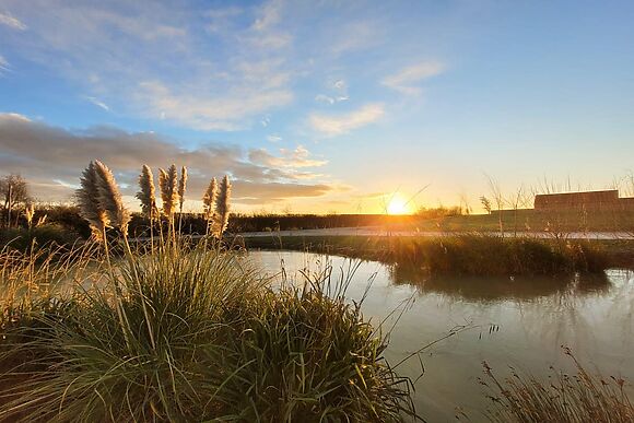 Water Lily Cottage in Dunholme