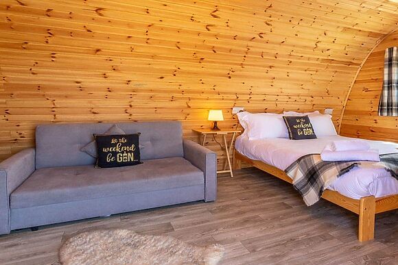 Red Squirrel in Brynteg