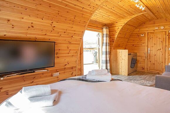 Red Squirrel in Brynteg