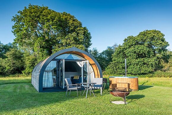 Swallowtail in Dilham