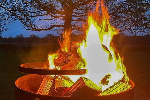 Swallowtail in Dilham