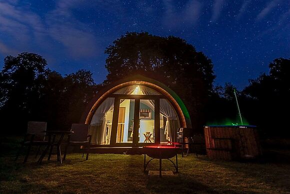 Swallowtail in Dilham