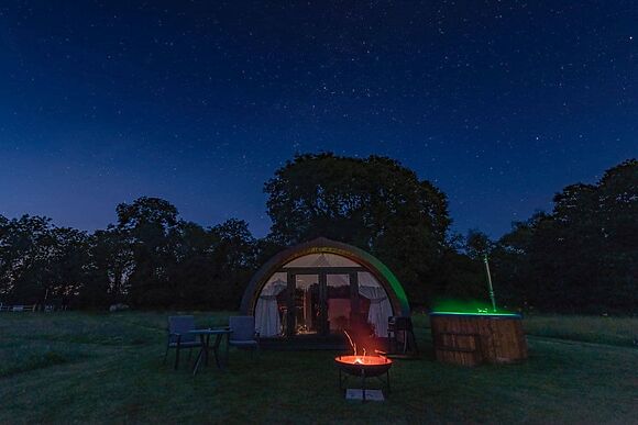 Swallowtail in Dilham