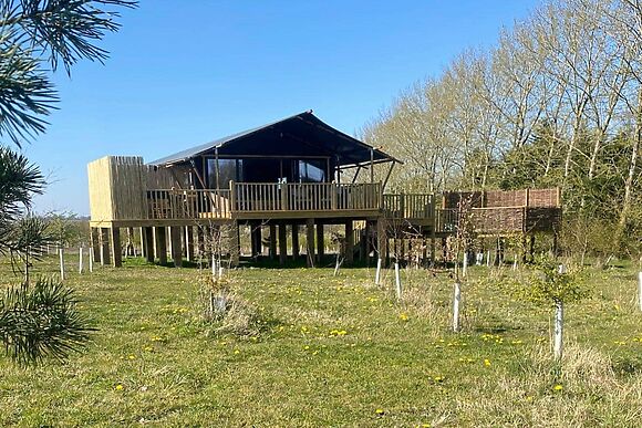 Fieldfare in Stanton-On-The-Wolds