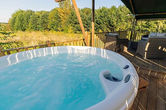Fieldfare in Stanton-On-The-Wolds