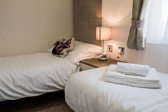 Jessie’s Corner in Felton