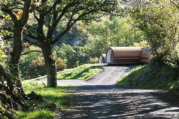 Glampio Trysor Garth