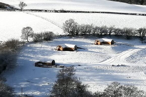 Glampio Trysor Garth