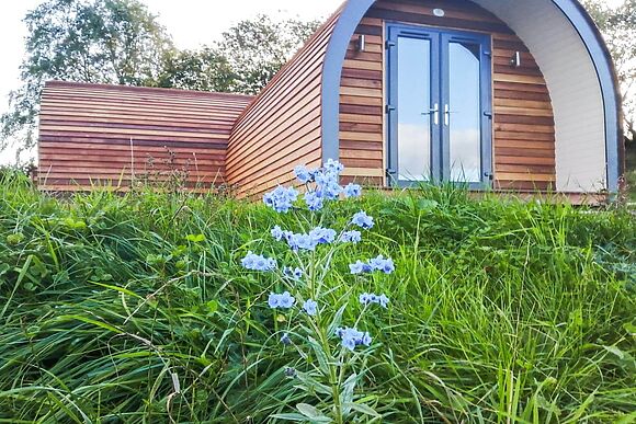 Glampio Trysor Derwen