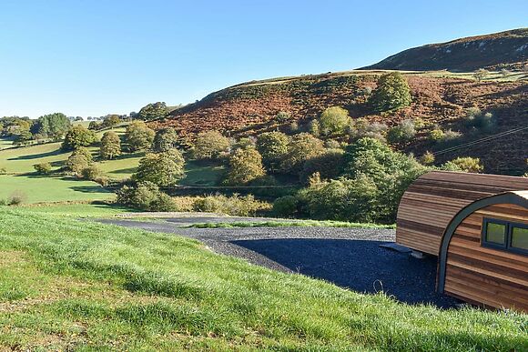 Glampio Trysor Derwen