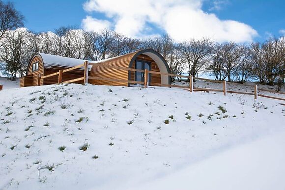 Glampio Trysor Derwen