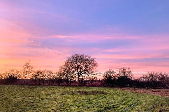 Butterfly Roundhouse in South Walsham