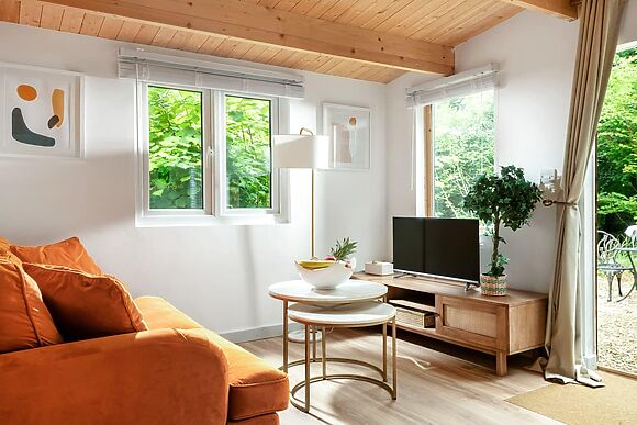 Copperbeech in Blandford Forum