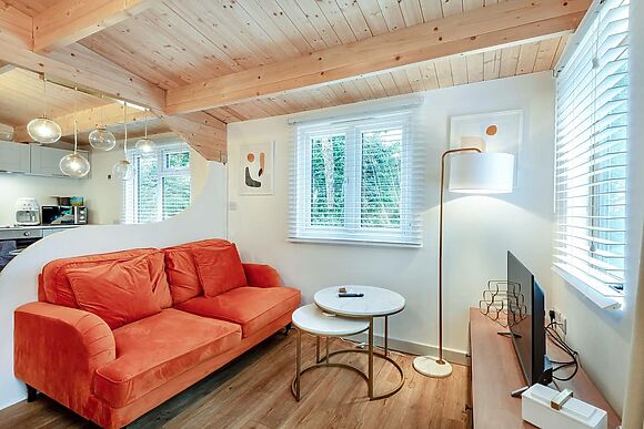 Copperbeech in Blandford Forum