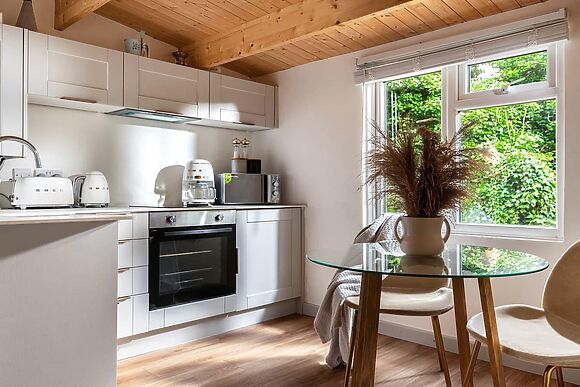 Copperbeech in Blandford Forum