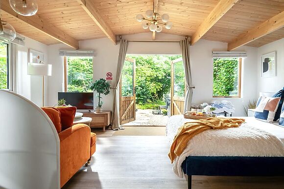 Copperbeech in Blandford Forum