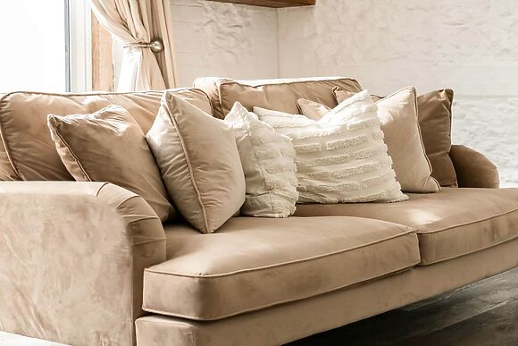 Primrose in Blandford Forum