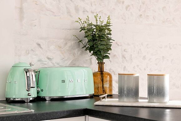 Primrose in Blandford Forum