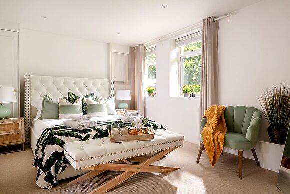 Primrose in Blandford Forum