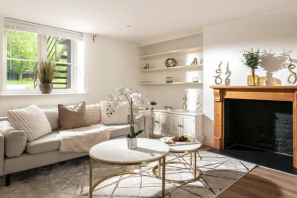 Snowdrop in Blandford Forum