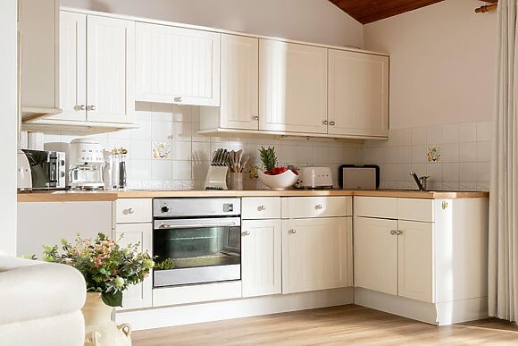 Snowdrop in Blandford Forum