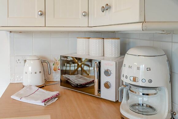 Snowdrop in Blandford Forum