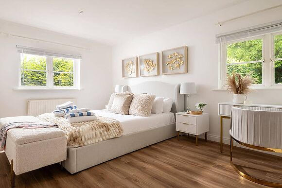 Snowdrop in Blandford Forum