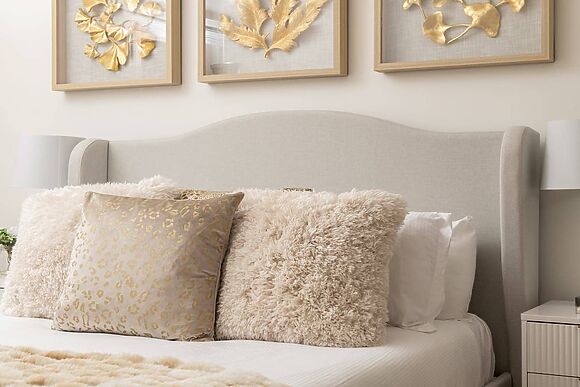 Snowdrop in Blandford Forum