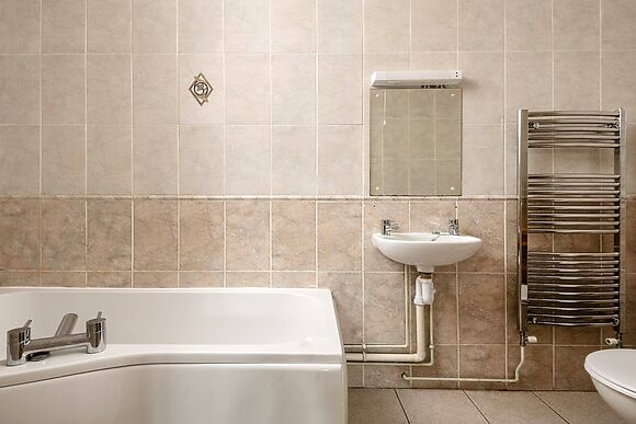 Snowdrop in Blandford Forum