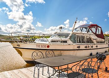 The Rose at Coynant Farm