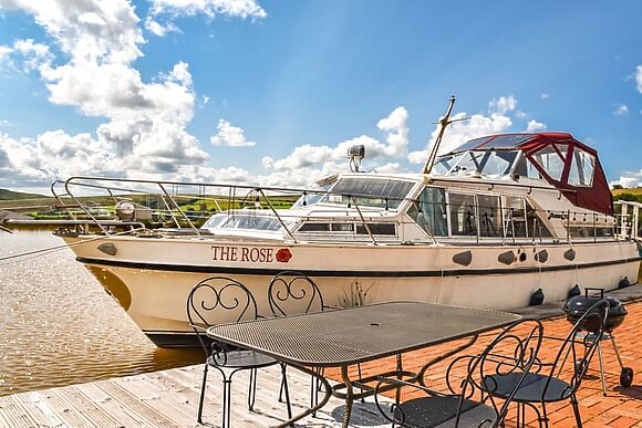 The Rose at Coynant Farm