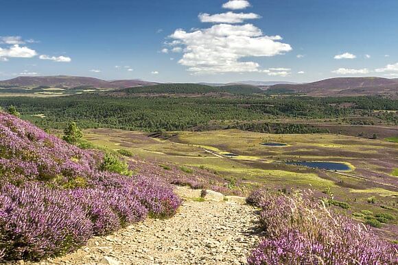 Glenview at Glen Clova Getaways
