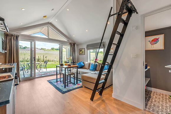 Cranborne Chase Stargazer