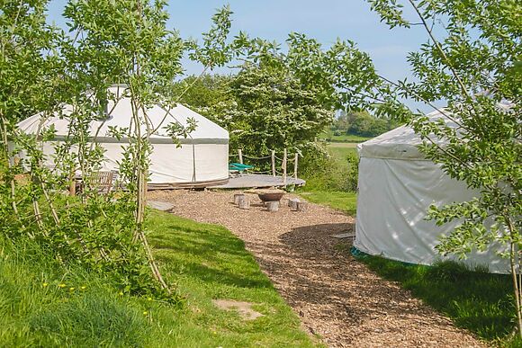 Skylark Yurt at Walnut Farm