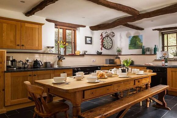 Foxglove House