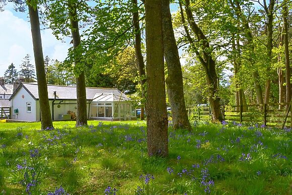 Glendale Mews at Glendale